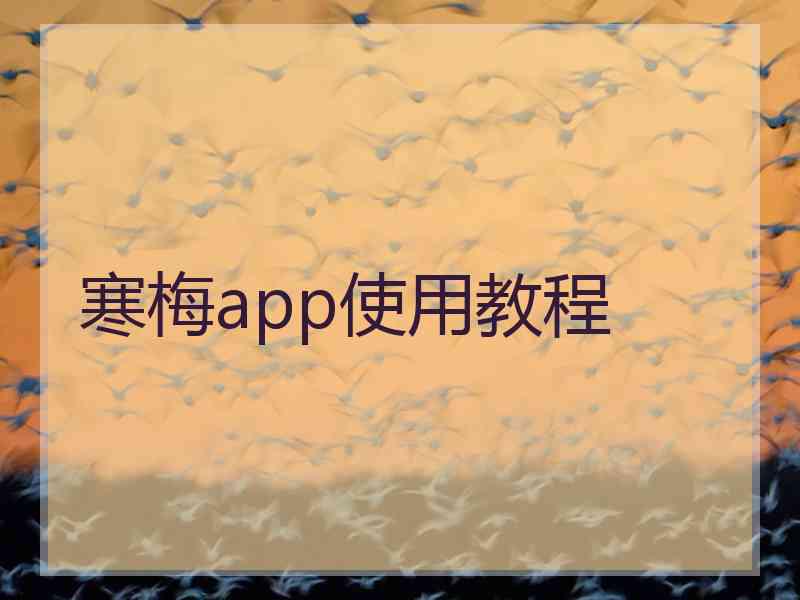 寒梅app使用教程