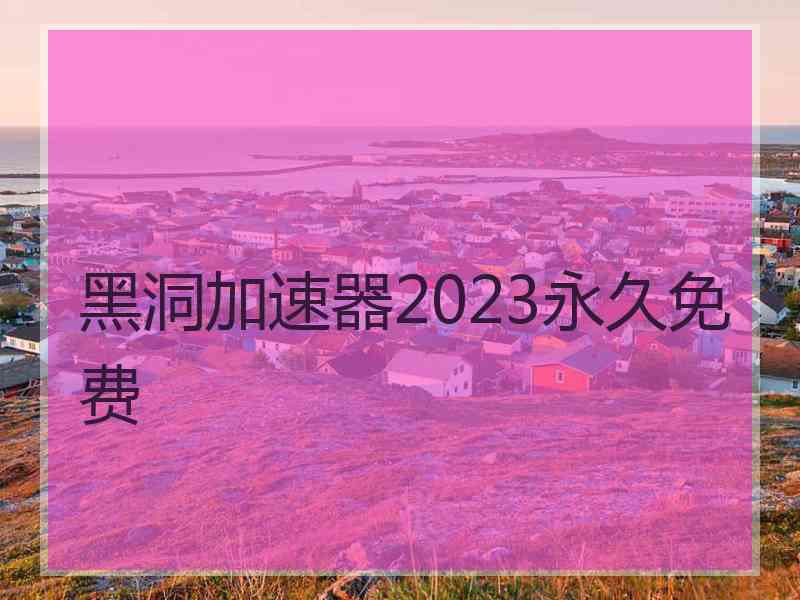 黑洞加速器2023永久免费