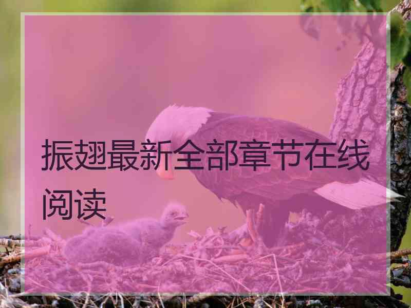 振翅最新全部章节在线阅读