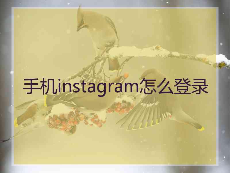 手机instagram怎么登录