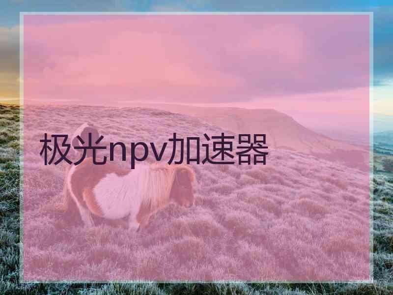 极光npv加速器