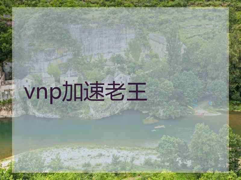 vnp加速老王