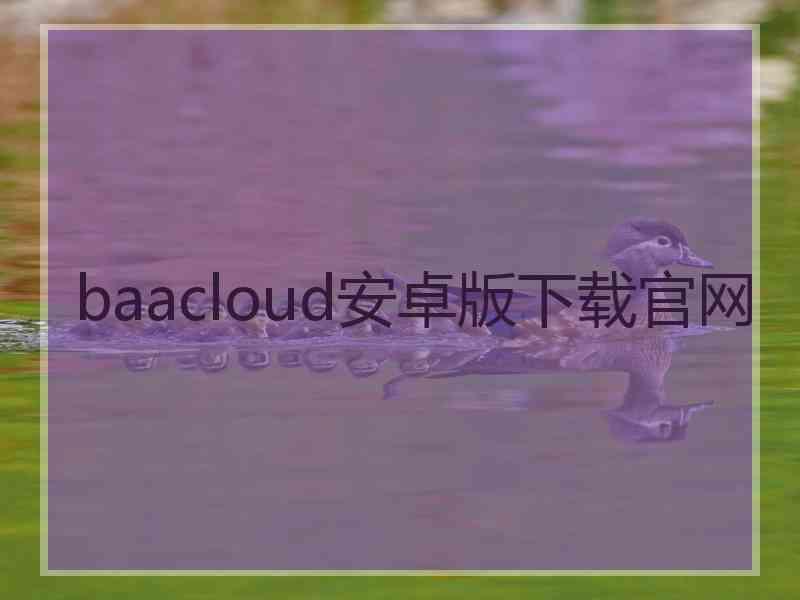 baacloud安卓版下载官网