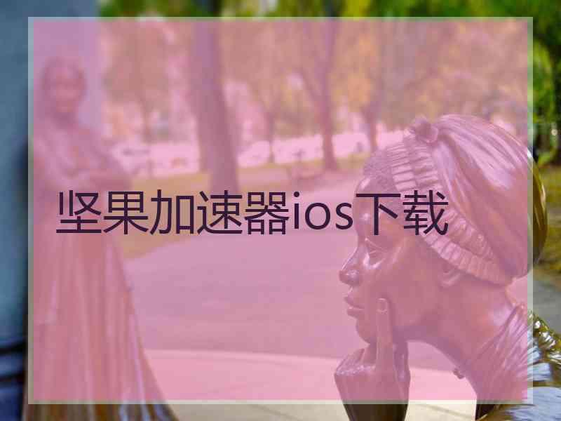 坚果加速器ios下载