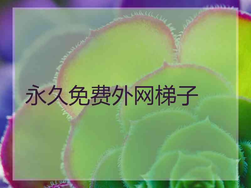 永久免费外网梯子