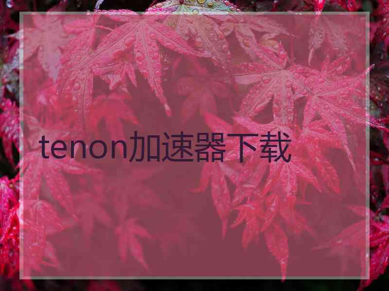 tenon加速器下载