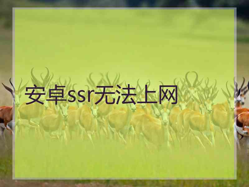 安卓ssr无法上网