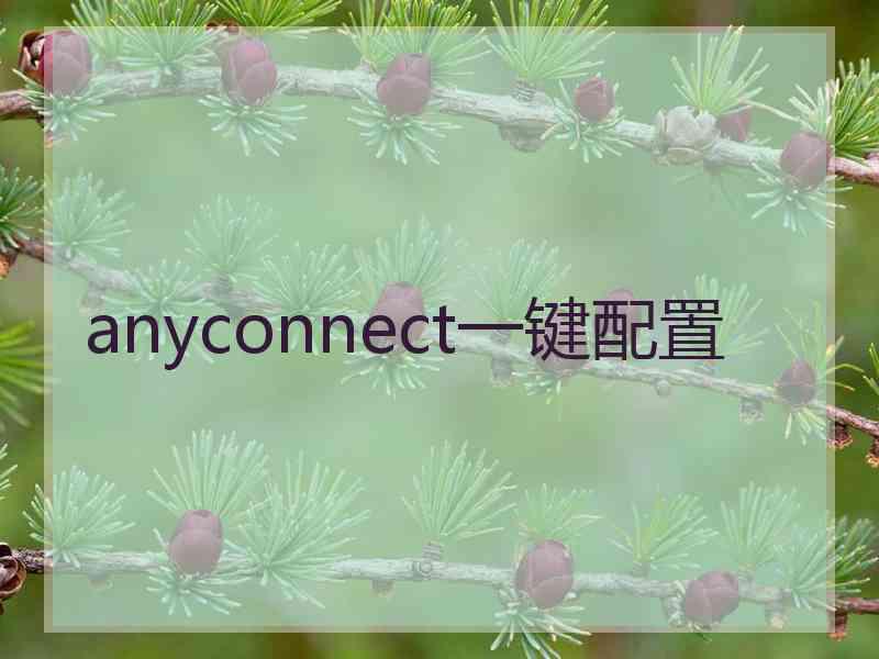 anyconnect一键配置