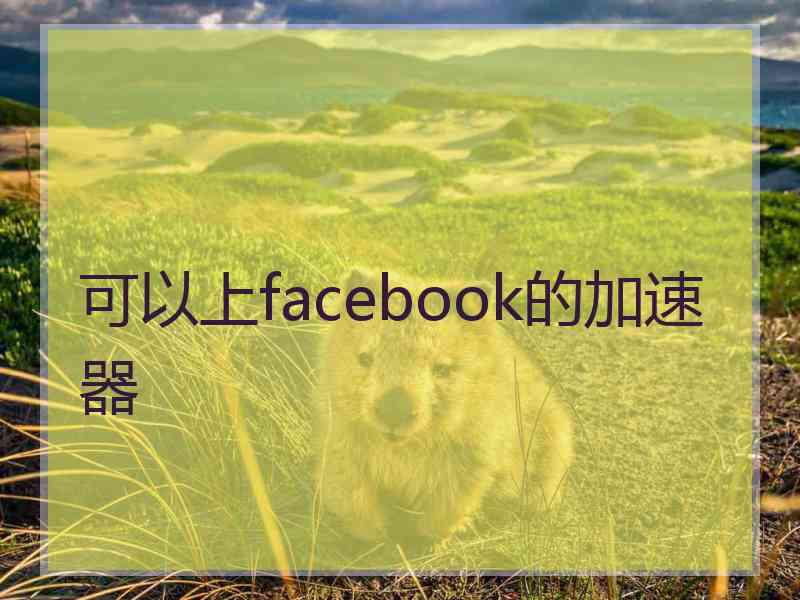 可以上facebook的加速器