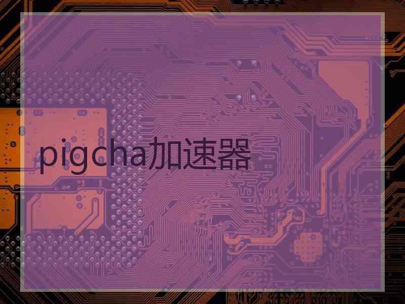 pigcha加速器